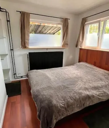 Casa Mellow Gent
